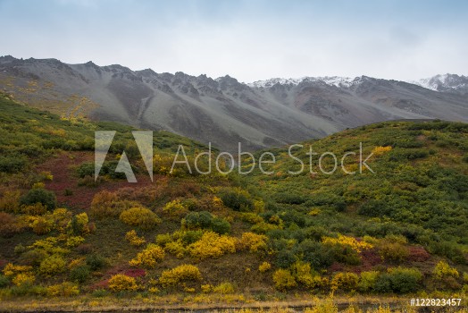 Picture of Tundra in Denali State Park